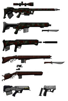 Various firearms