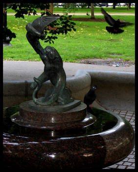 Boston Birdbath