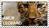 Amur leopard Stamp by AllerleiArt