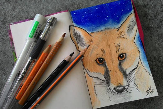 001 - The Fox