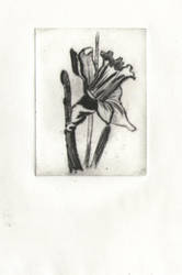 005 - Drypoint