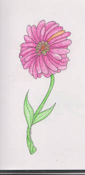 Pink Flower