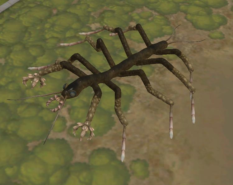 Centipede SPORE