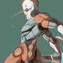 Grey Fox