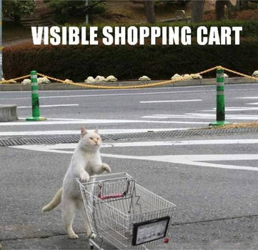 Visible shopping cart