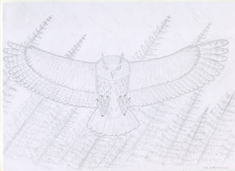 Owl pencil