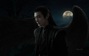 Zhang Bin Bin: Dark Angel