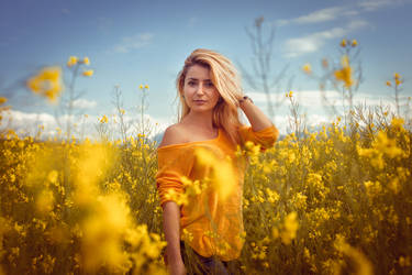 Fields of gold