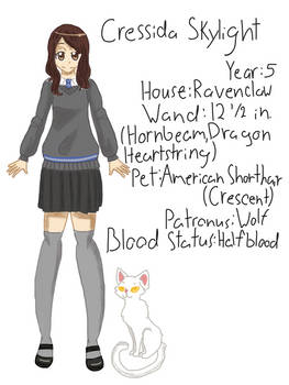 My Harry Potter OC