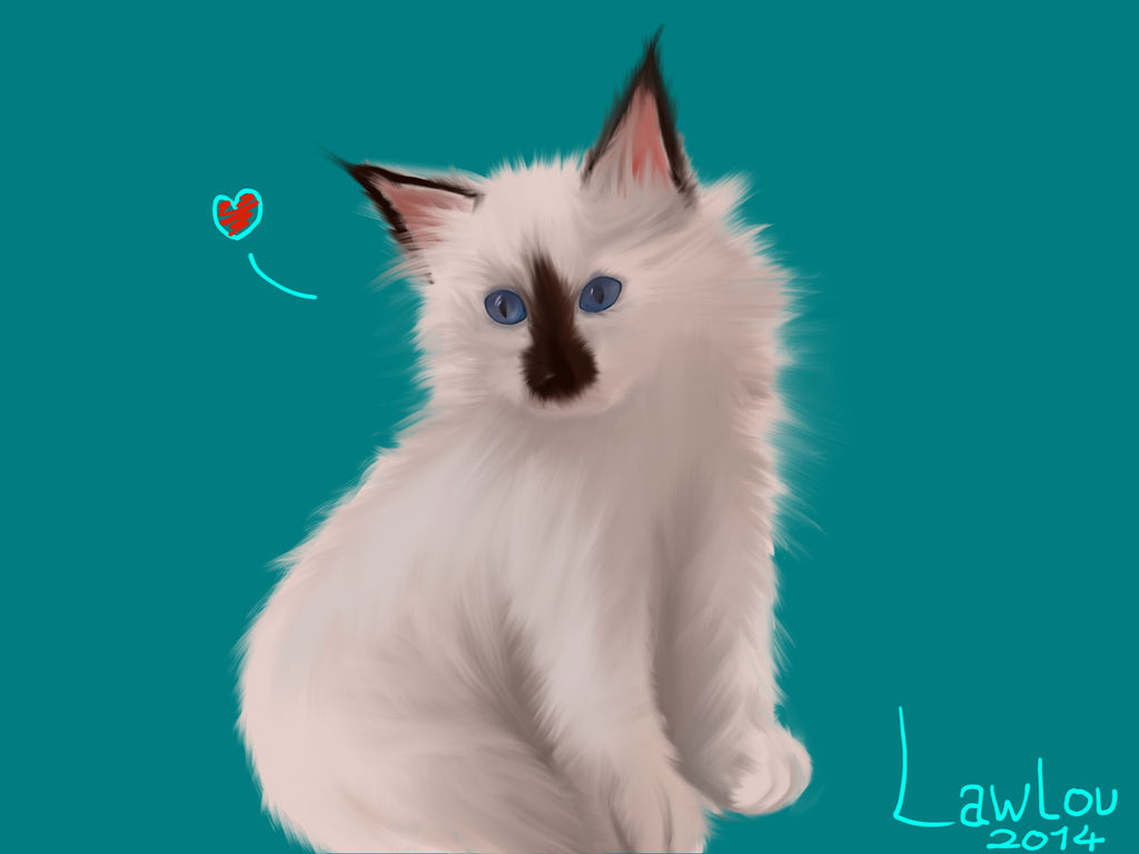 Chat De Slg Fan Art By Louise Art Gallery On Deviantart Chat De Slg Fan Art By Louise Art Gallery On Deviantart