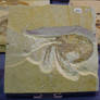 Fossilized Crustacean