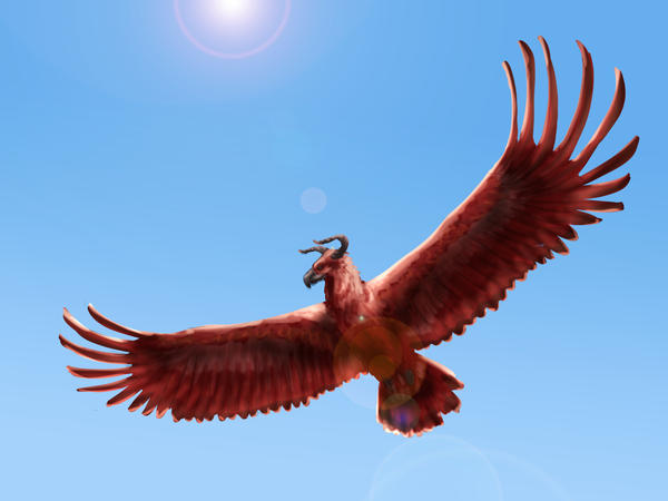 Giant Red Eagle by Aerophoinix on DeviantArt Giant Red Eagle by Aerophoinix on DeviantArt