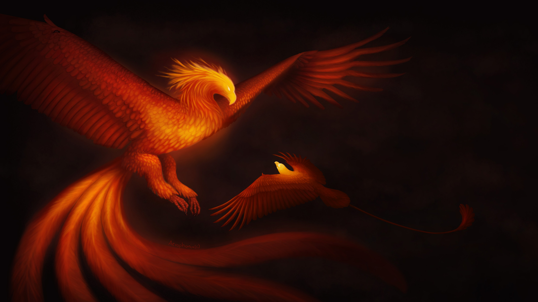 Daius - Phoenix of Light