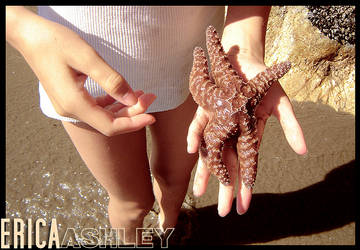 Its a starfish, duh