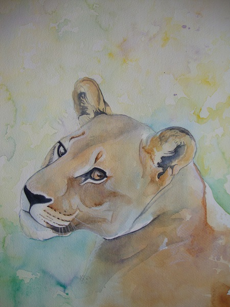 Lioness