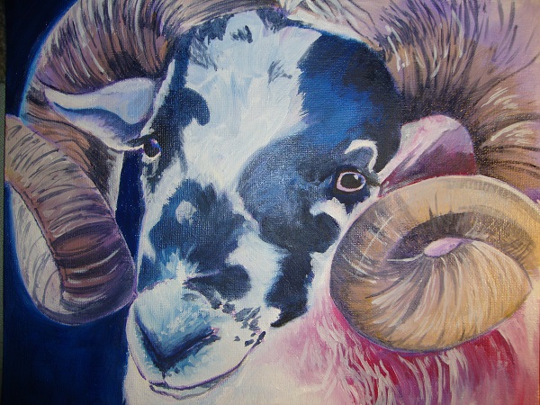 Swaledale Ram