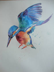 Kingfisher