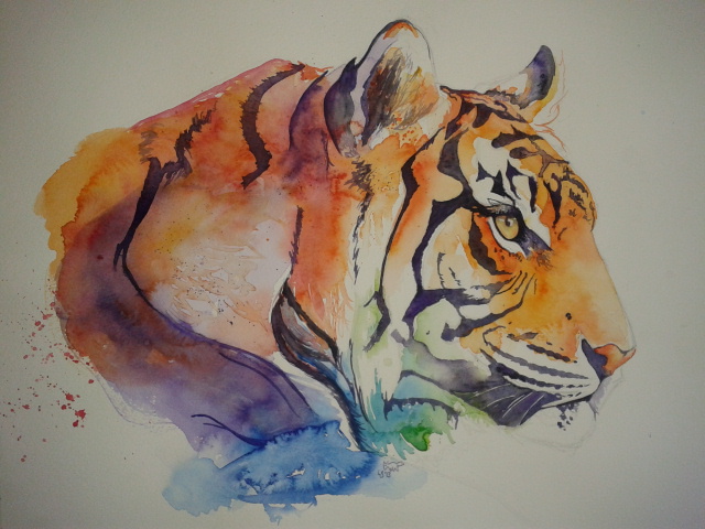 Rainbow Tiger