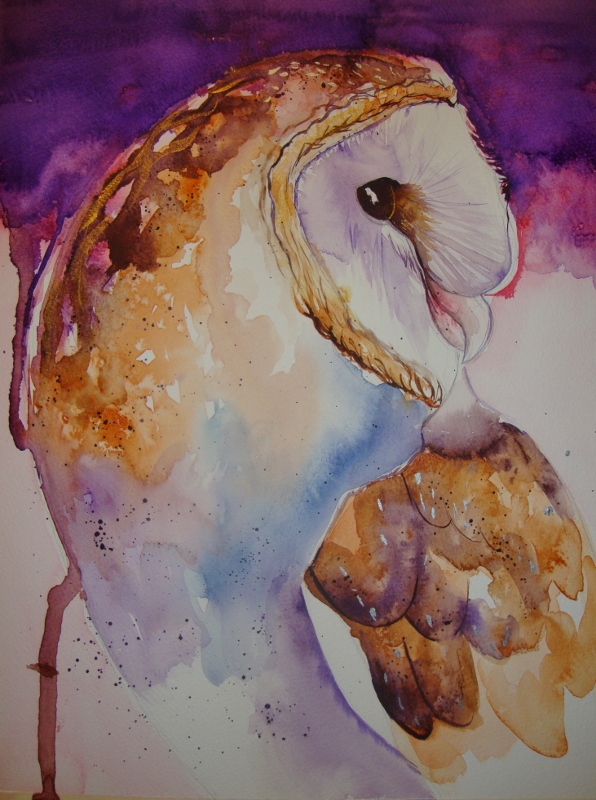 Barn Owl