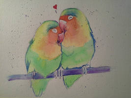 Lovebirds