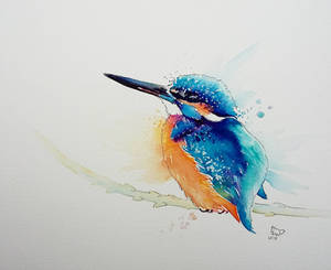 Kingfisher