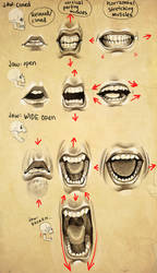 Expressions- Mouth + Jaw