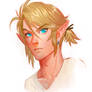 Link