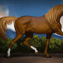 IPad horse
