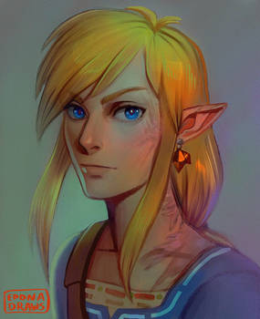 Wild Link - Linked Universe version