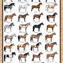 Breed Chart: Horseisle 1-69