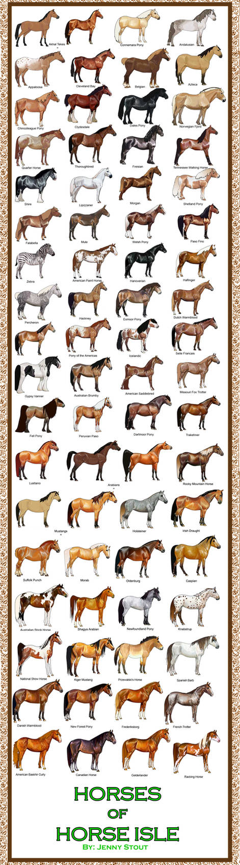 Breed Chart: Horseisle 1-69 by EponaDraws