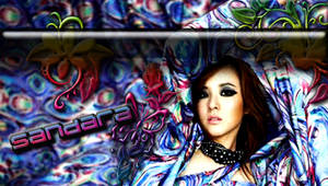 Wall Sandara of 2ne1 v. nobody