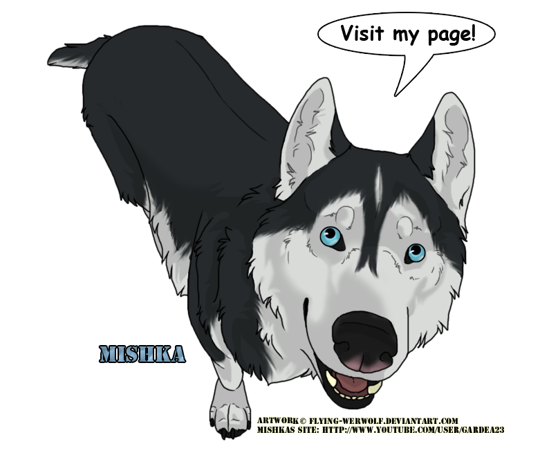 Mishka the singing Husky