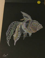 Fish on Black paper 