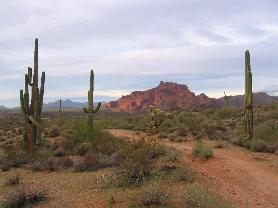 desert trail