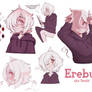 Erebus Reference Sheet