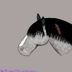 Dapple Grey Horse-1