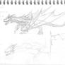 Sketch- Tyrannodraco Rex