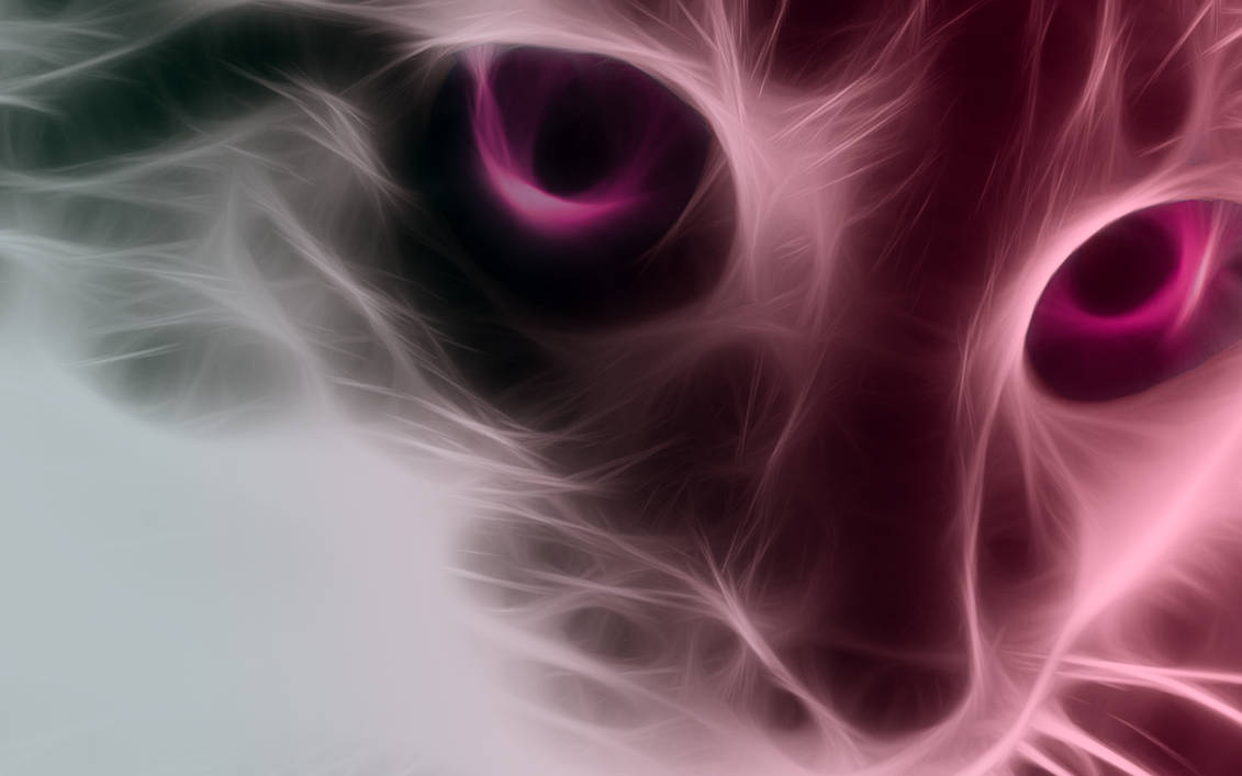 Кошка розовая глаза. Бордово розовый котик. Cool Cat Pink. Черная кошка с розовыми глазами знак.