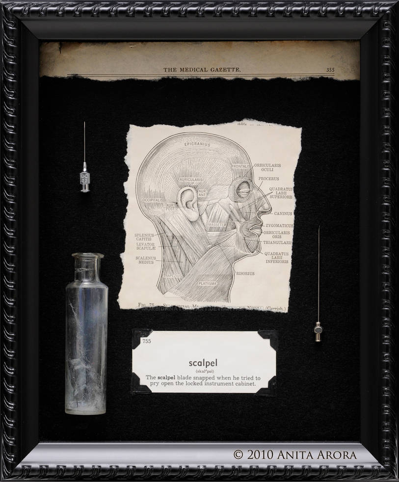 Sharp Instrument Log Sharp Instrument by MorbidAnatomyArt on DeviantArt