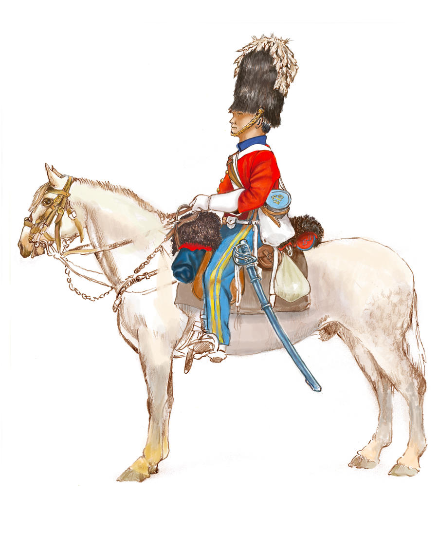 Dragoon of the Scots Greys 3