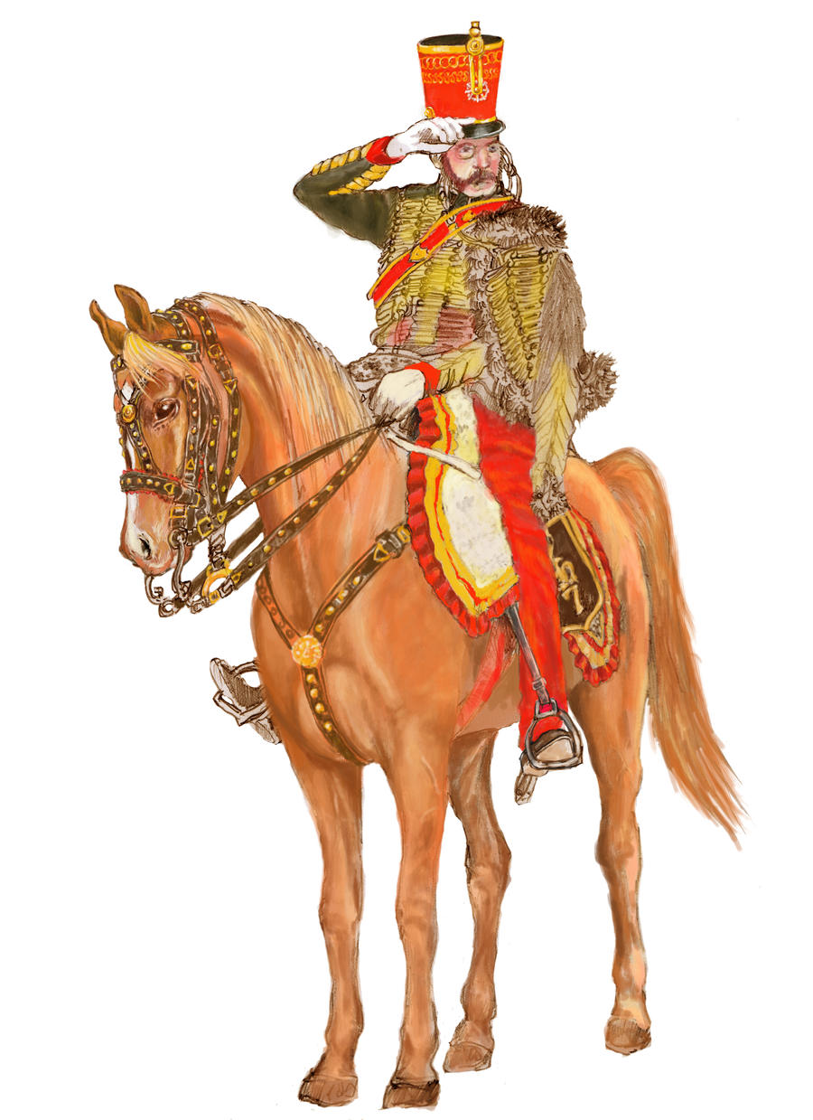 Colonel of the 7th French Hussars 4