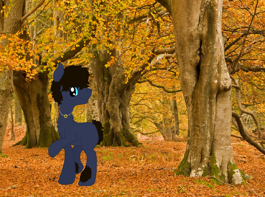 Frodo Pony Desk Top by DawnFireGlow on DeviantArt