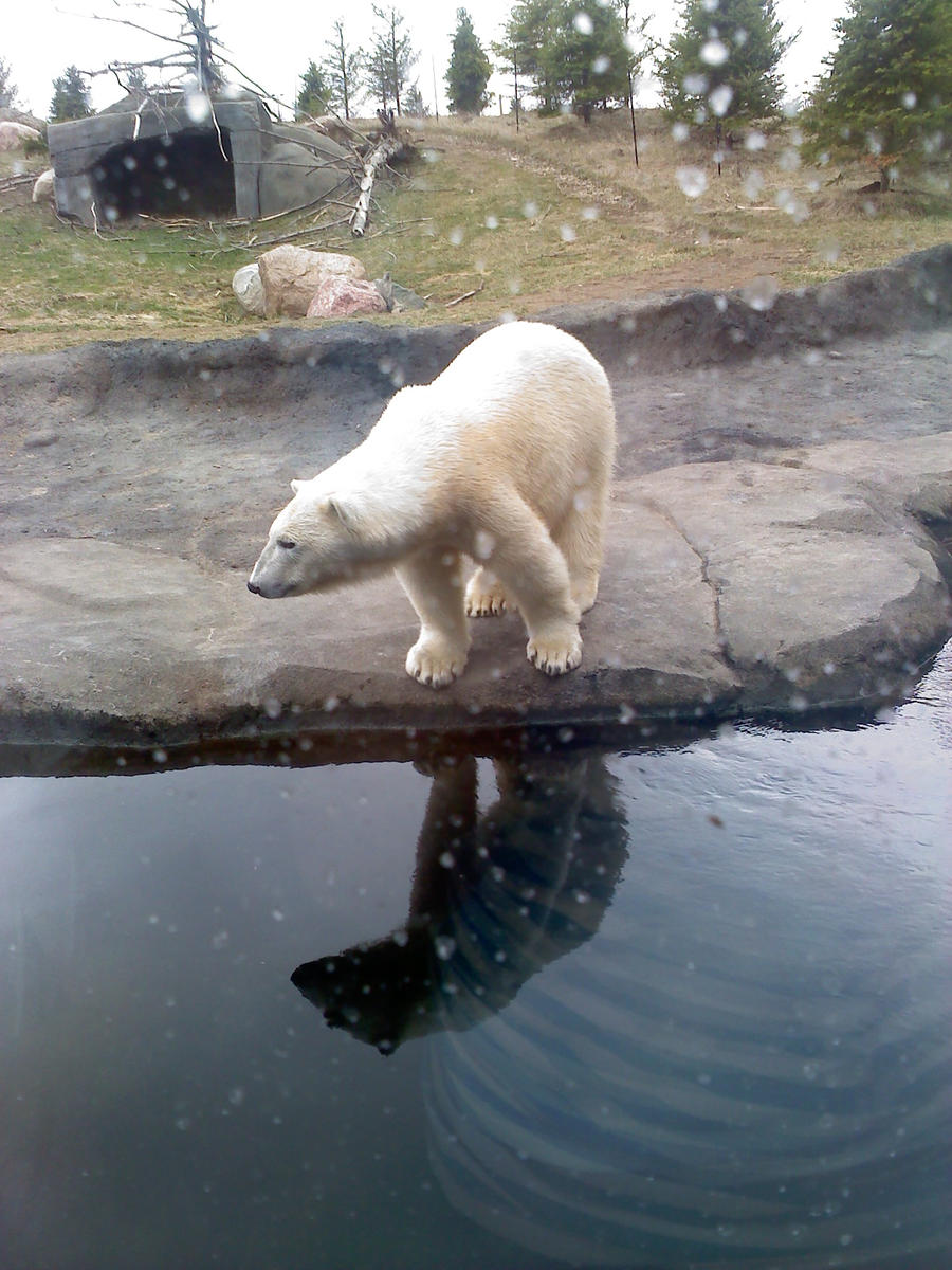 Go ahead, jump. by XxKakashiIsMyLovexX on DeviantArt