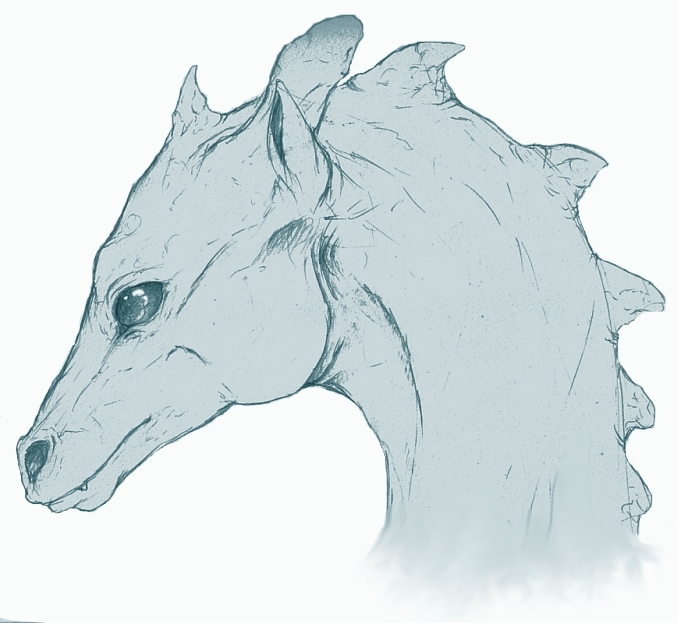 Pern: Dragonhead study