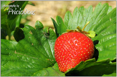 Strawberry..2