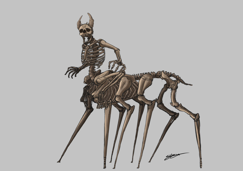 Creature Skeleton by Sasjakoning on DeviantArt