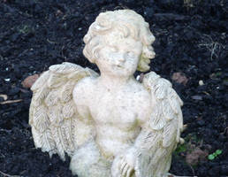 cherub3