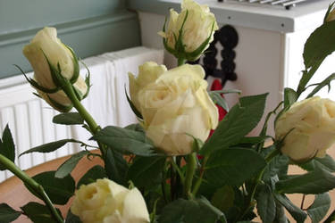 Roses 2