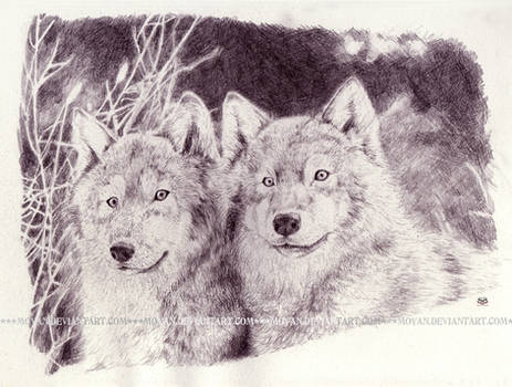 A Parable of Two Wolves